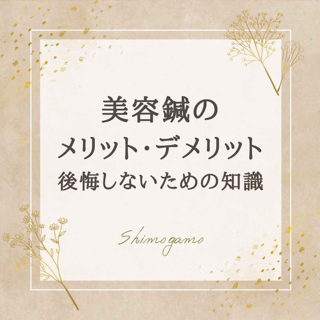 美容鍼のメリット・デメリットとは？後悔しないための知識｜美容鍼サロンShimogamoコラム