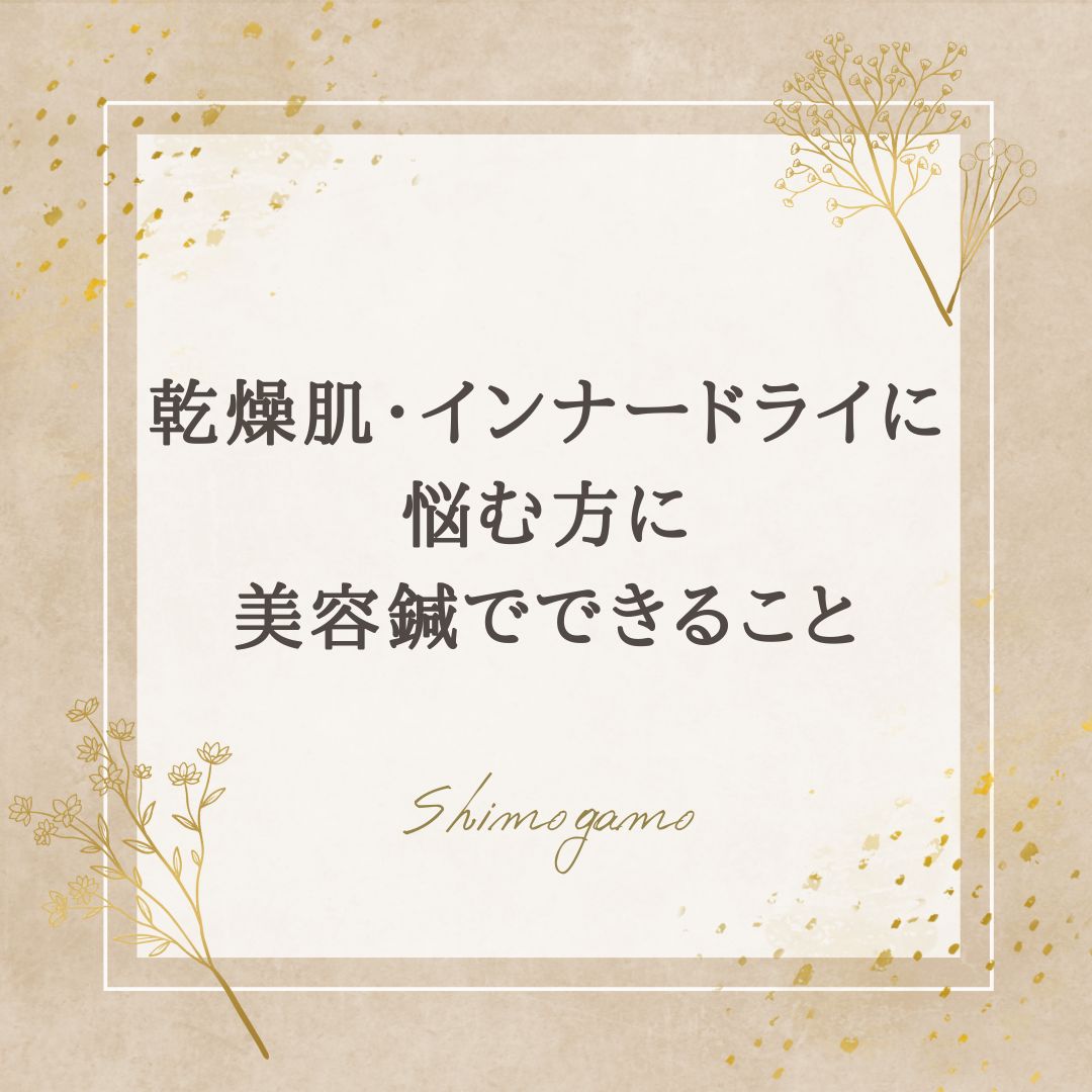 乾燥肌・インナードライに悩む方に｜美容鍼でできること｜美容鍼サロンShimogamoコラム