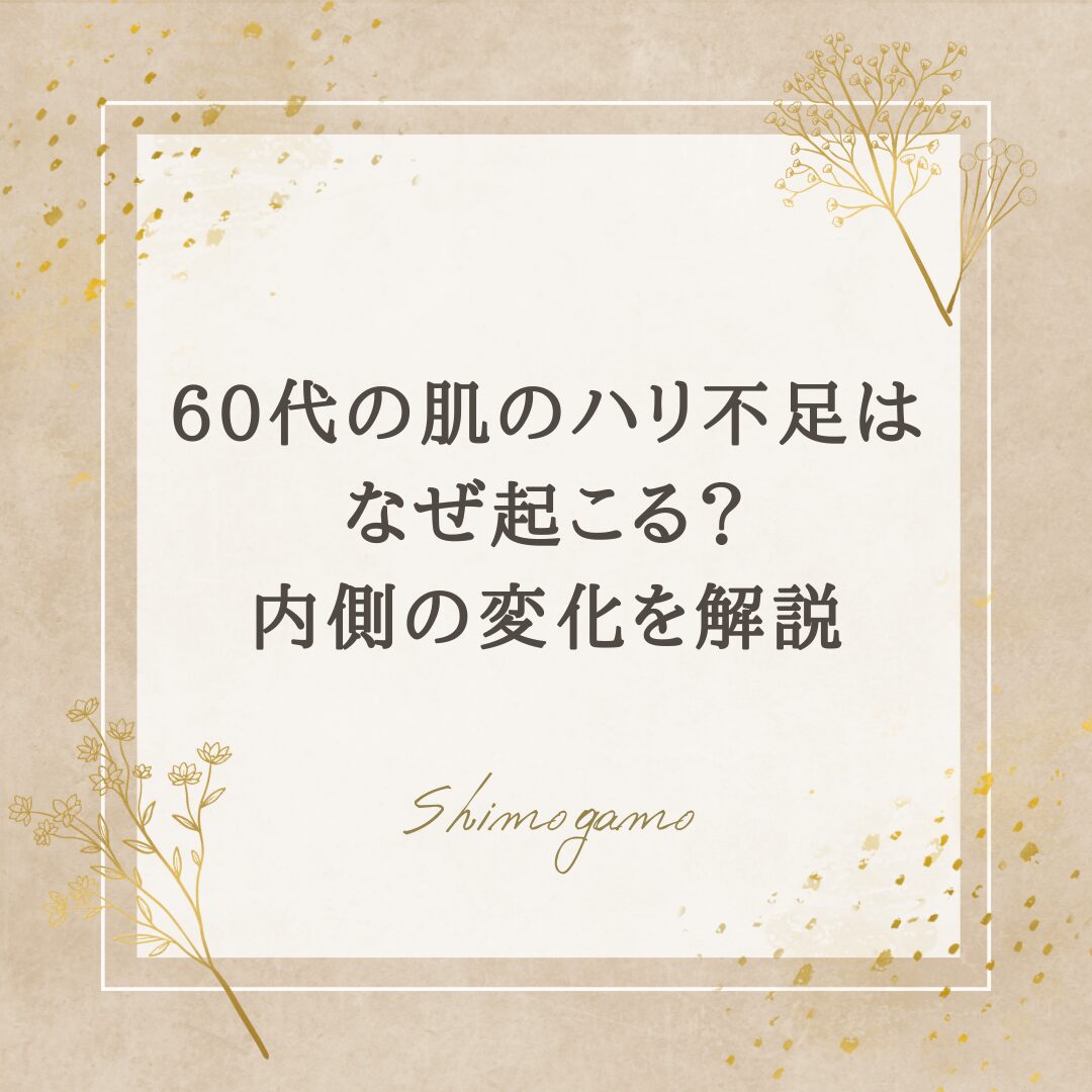 60代の肌のハリ不足はなぜ起こる？内側の変化を解説｜美容鍼サロンShimogamoコラム