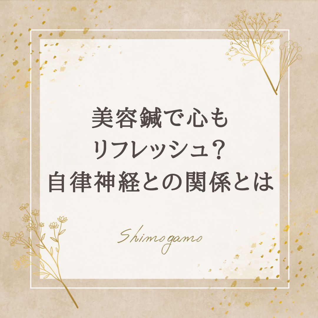 美容鍼で心もリフレッシュ？自律神経との関係とは｜美容鍼サロンShimogamoコラム